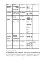 Biznesa plāns 'SIA "Lagūna" biznesa plāns', 12.