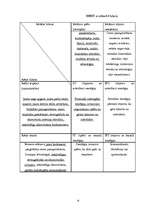 Biznesa plāns 'SIA "Lagūna" biznesa plāns', 16.