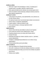 Biznesa plāns 'SIA "Lagūna" biznesa plāns', 17.