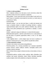 Biznesa plāns 'SIA "Lagūna" biznesa plāns', 22.