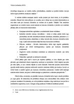 Eseja 'Sieviešu līdztiesība darba tirgū', 3.