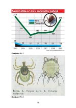Referāts 'Cēsu pilsētas iedzīvotāju informētība par ērču encefalīta profilaksi', 36.
