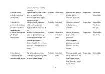 Prakses atskaite 'Kvalifikācijas prakses dienasgrāmta. Pirmsskola', 9.