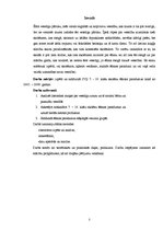 Referāts 'Veselīga uztura režīms', 2.