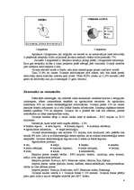 Referāts 'Gvineja', 4.