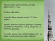 Prezentācija 'Viduslaiku arhitektūra Rīgā. Gotika un romānika. Rīgas doms, Melngalvju nams, Jā', 5.