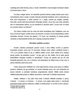 Referāts 'Politisko partiju sistēma 20.gadsimta 20.-30.gados salīdzinājumā ar mūsdienu pol', 17.