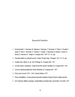 Referāts 'Politisko partiju sistēma 20.gadsimta 20.-30.gados salīdzinājumā ar mūsdienu pol', 19.