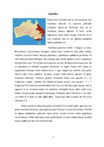 Referāts 'Koala', 3.