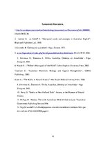 Referāts 'Koala', 10.