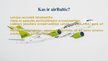 Prezentācija 'Latvijas nacionālā lidsabiedrība "airBaltic"', 2.