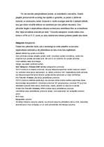 Konspekts 'Datagrammu tīklošana', 5.