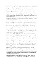 Konspekts 'Jēdzieni', 1.