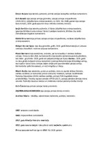 Konspekts 'Jēdzieni', 4.