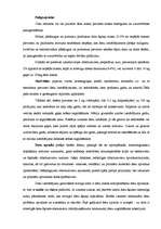 Referāts 'Auksti kūpinātu desu ražošana, tehnoloģija', 5.