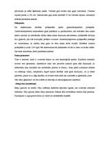 Referāts 'Auksti kūpinātu desu ražošana, tehnoloģija', 10.