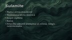 Prezentācija '"Svina garša" tēlu raksturojums', 8.