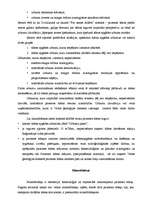 Konspekts 'Kolkas pagasta ģeoloģiskais raksturojums', 6.