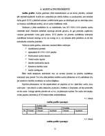 Referāts 'Kvalitātes vadības sistēmas iekšējais audits', 12.