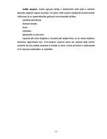 Referāts 'Kvalitātes vadības sistēmas iekšējais audits', 17.