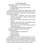 Referāts 'Kvalitātes vadības sistēmas iekšējais audits', 21.