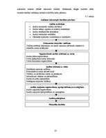 Referāts 'Kvalitātes vadības sistēmas iekšējais audits', 24.