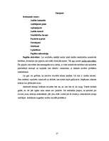 Referāts 'Kvalitātes vadības sistēmas iekšējais audits', 27.