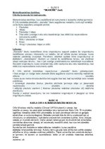 Prezentācija 'Karla Orfa mūzikas mācību metode', 19.