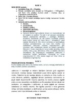 Prezentācija 'Karla Orfa mūzikas mācību metode', 22.