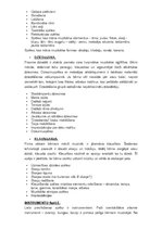 Prezentācija 'Karla Orfa mūzikas mācību metode', 24.