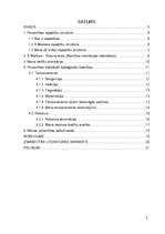 Referāts 'Personība', 2.