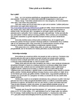 Referāts 'Dabas katastrofu pārvaldīšana', 8.