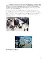 Referāts 'Dabas katastrofu pārvaldīšana', 9.