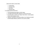 Referāts 'AS "Baltijas Tranzīta serviss" saimnieciskās darbības analīze', 11.