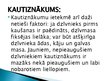 Prezentācija 'Liellopu gaļas kvalitātes rādītāji', 6.