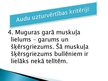 Prezentācija 'Liellopu gaļas kvalitātes rādītāji', 9.