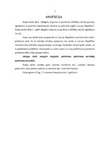 Referāts 'Nelegālo imigrantu un patvēruma meklētāju tiesisko garantiju regulējuma un prakt', 3.