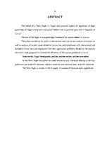 Referāts 'Nelegālo imigrantu un patvēruma meklētāju tiesisko garantiju regulējuma un prakt', 4.