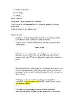 Konspekts 'Mūža godi', 4.