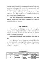 Referāts 'Cilvēka smadzenes', 10.