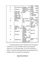 Referāts 'Cilvēka smadzenes', 11.