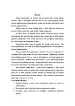 Referāts 'Tiesību normu interpretācija', 2.