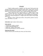 Referāts 'Tīmekļa standarti', 4.