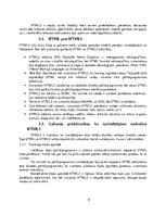 Referāts 'Tīmekļa standarti', 8.