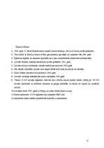 Referāts 'Latvieši Otrajā pasaules karā', 11.