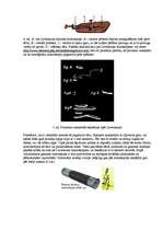 Konspekts 'Mikroskops', 2.