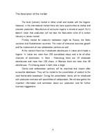 Konspekts 'Marketing Strategy ', 9.