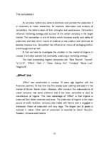 Konspekts 'Marketing Strategy ', 10.