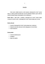 Referāts 'Laikraksta "Neatkarīgā Rīta Avīze" kultūras sadaļas analīze', 3.