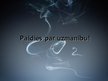 Prezentācija 'Oglekļa dioksīds', 9.